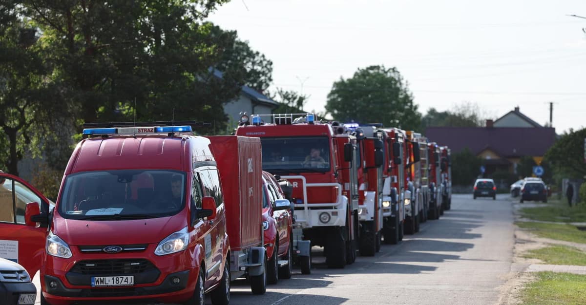 Duży pożar lasu pod Wołominem. Z ogniem walczy ponad 60 zastępów straży pożarnej