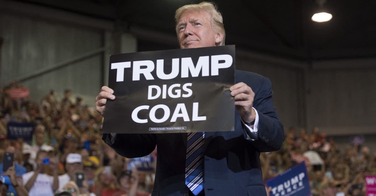 Patryk Jaki wychwala Trumpa i radzi pójść po rozum do głowy. No to poszliśmy – i mamy złą wiadomość