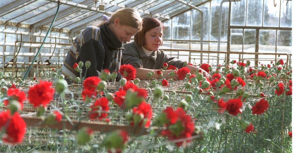 Na 8 marca: Równe płace zaczynają się od danych. Polska przed sprawdzianem przejrzystości wynagrodzeń