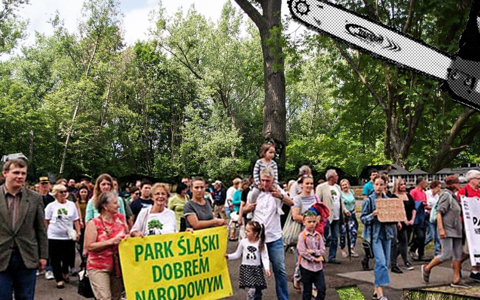 Grafika do artykułu 1327 drzew do wycinki przy Parku Śląskim. Zgodę wydał chorzowski magistrat. Mieszkańcy protestują
