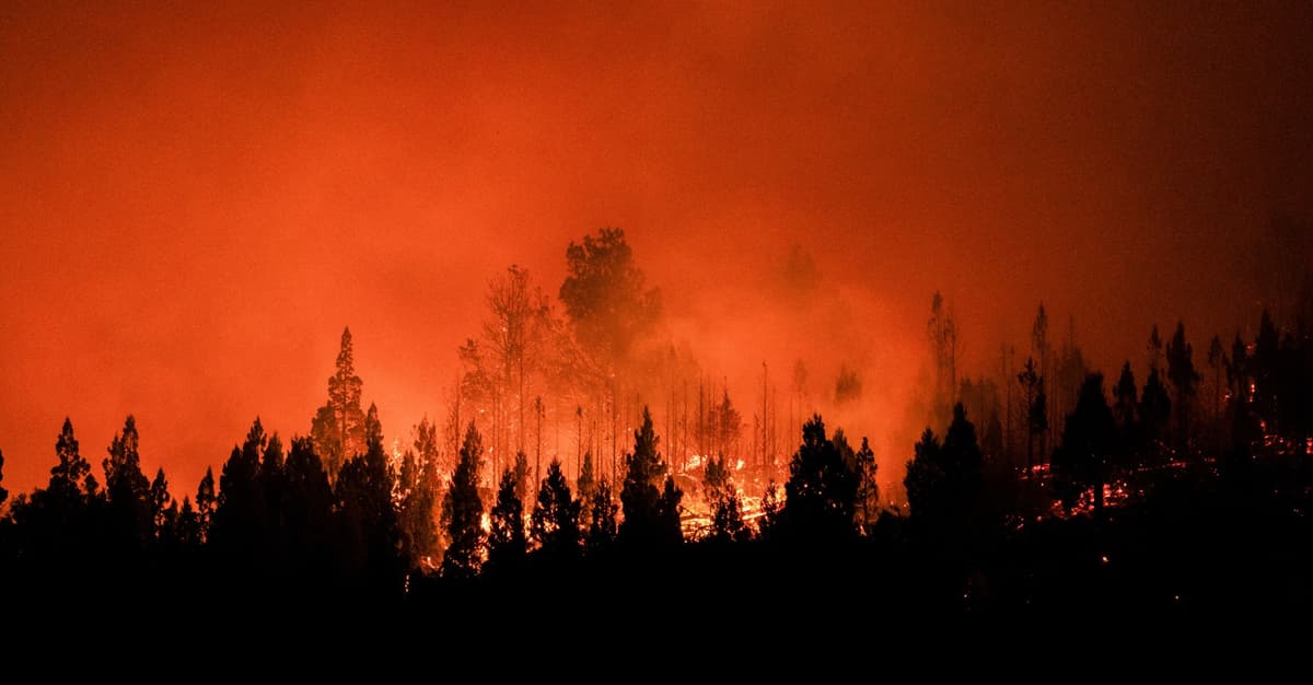 Rekordowe upały i pożary na południowej półkuli. W Australii temperatura sięga plus 50 C