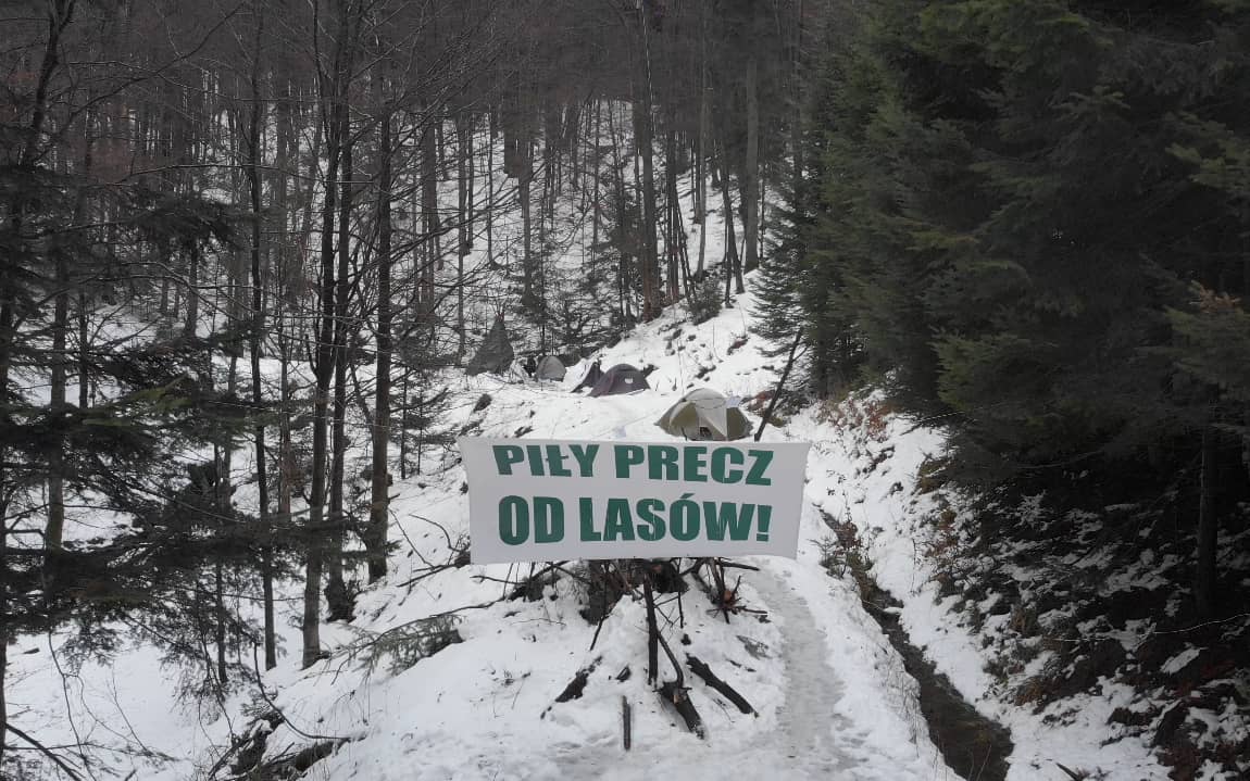 Grafika do artykułu Kolektyw „Wilczyce” ogłasza mobilizację. "Piły Precz Od Lasów"