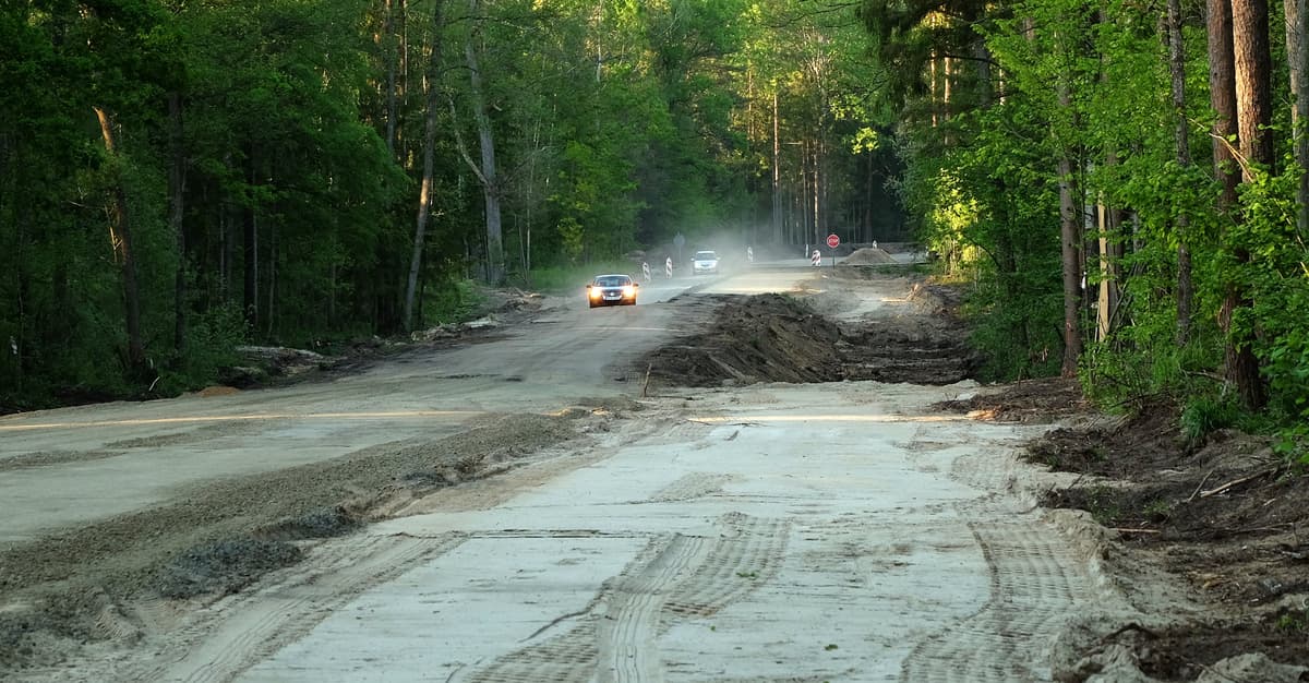 Puszczańska droga niezgody nr 687. Mieszkańcy chcą dojazdu do lekarza, ekolodzy zmiany projektu