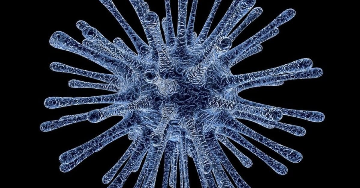 Zabawa w Boga czy obrona przed apokalipsą? USA zakazują manipulacji groźnymi patogenami