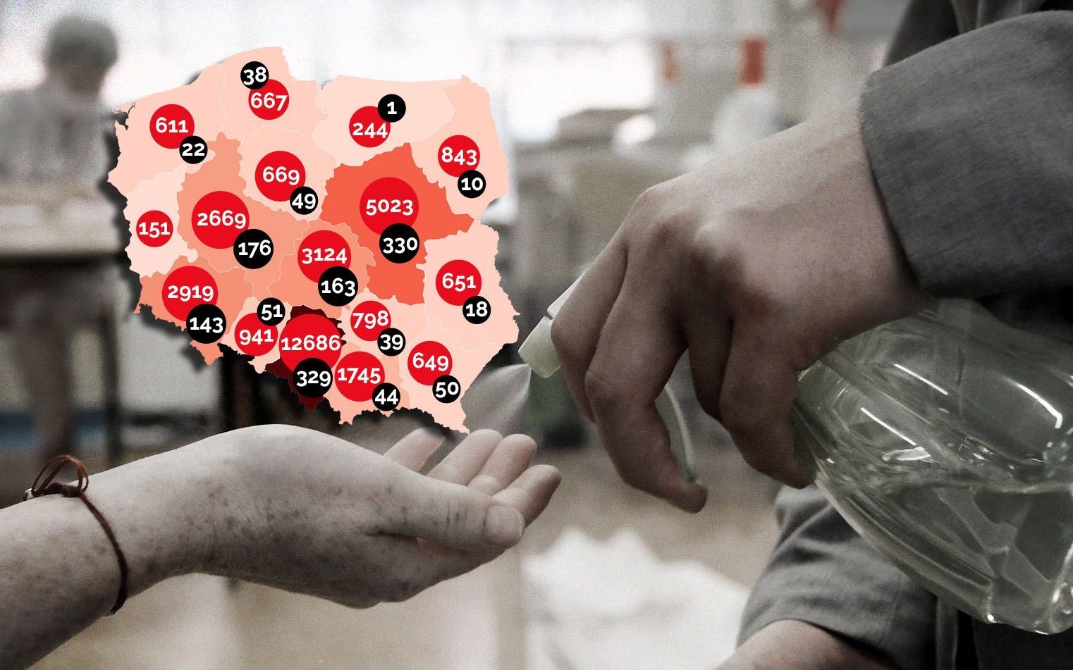 Grafika do artykułu W Polsce zachęcająco mało przypadków, w Chinach nowy szczep świńskiej grypy [WYKRESY, FAKTY]