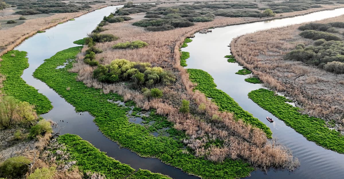 Co dalej z ochroną Międzyodrza? Jest parę pomysłów