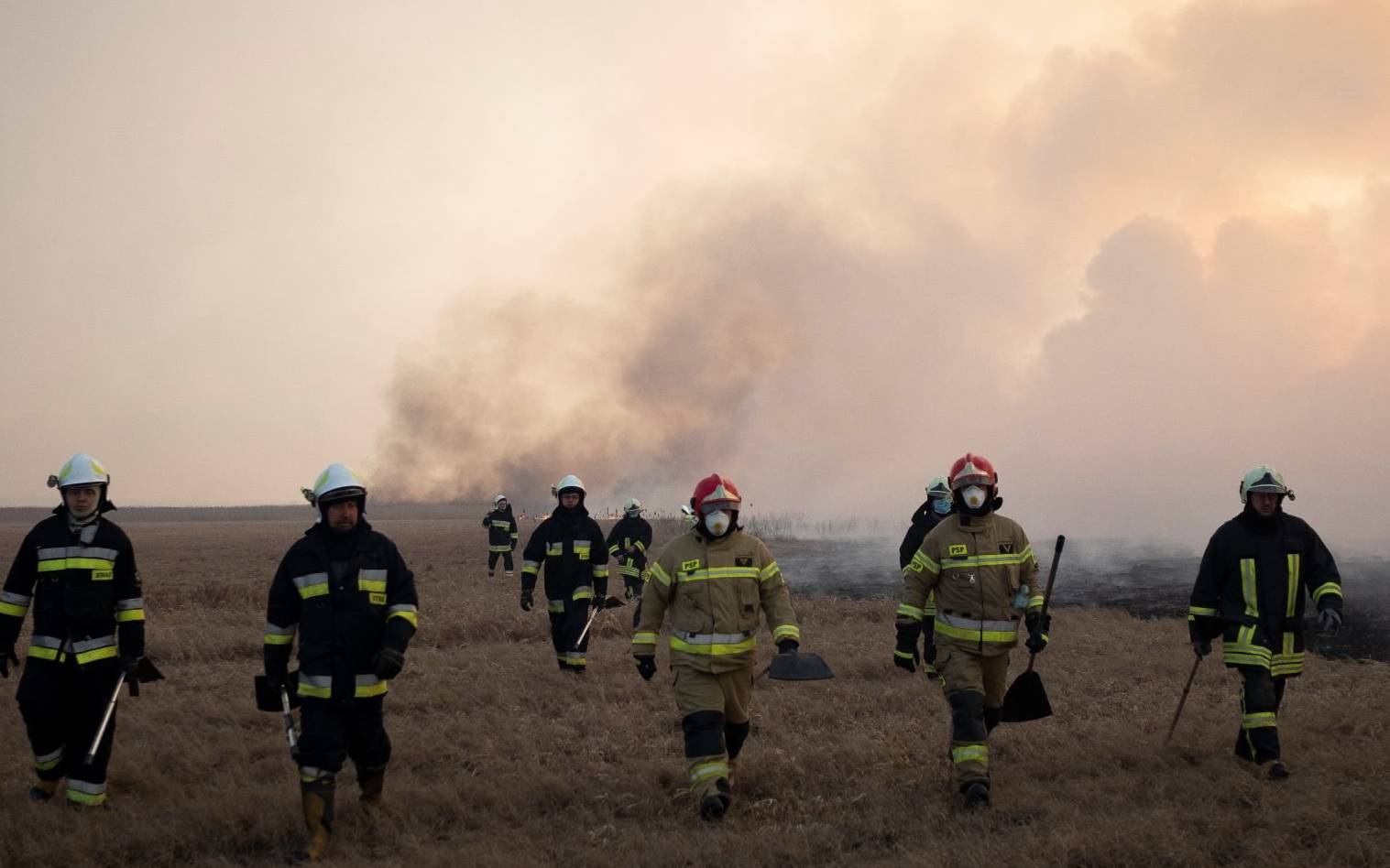 Grafika do artykułu Pożar w Biebrzańskim Parku Narodowym. Dwie dobre wiadomości
