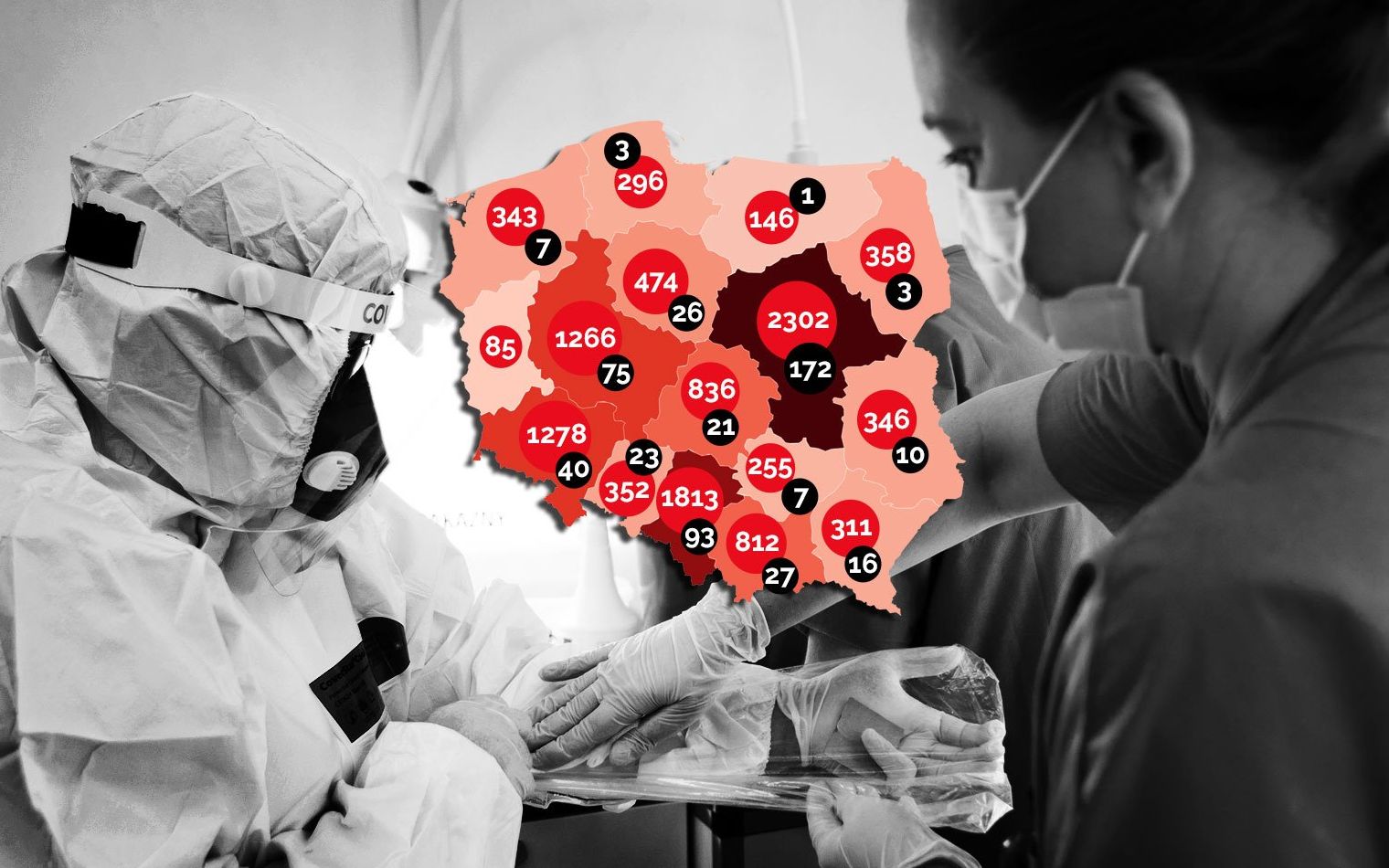 Grafika do artykułu WHO: nie ma dowodów, że nie można zakazić się drugi raz. W Polsce coraz więcej gniewu [FAKTY, WYKRESY]