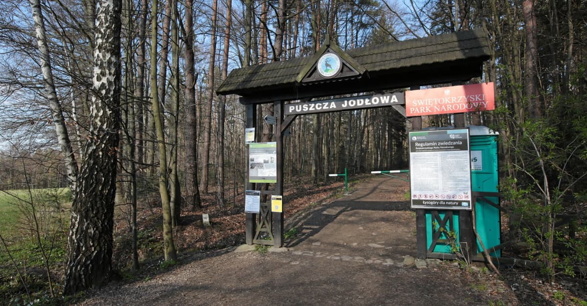 Prokuratura umarza śledztwo w sprawie Świętokrzyskiego Parku Narodowego