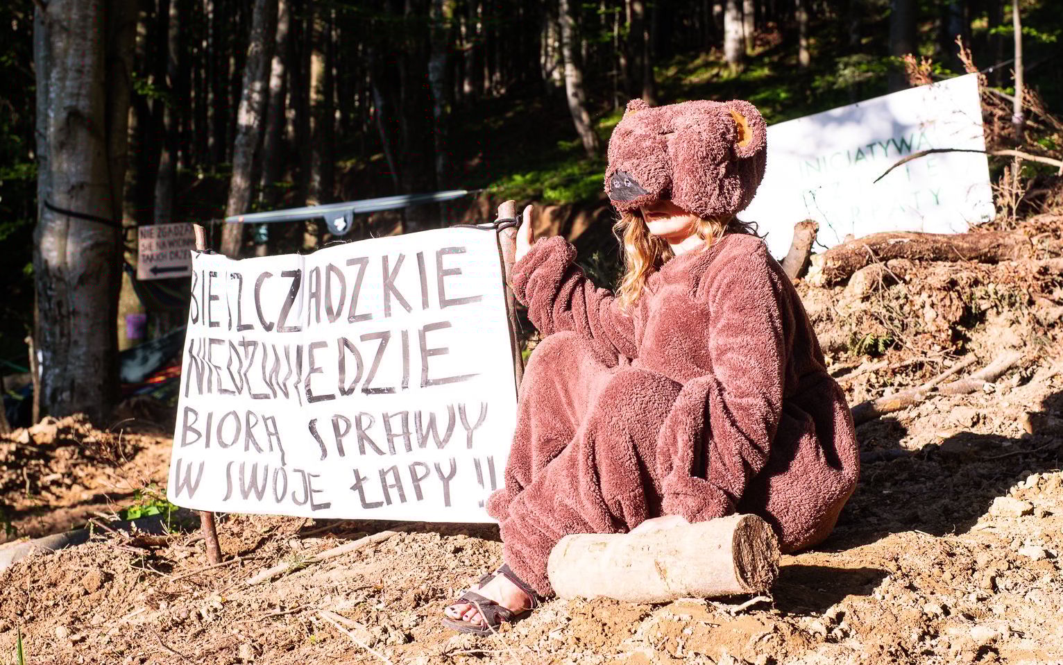 Grafika do artykułu Miał być rezerwat przyrody, ale Lasy Państwowe zarządziły wycinkę. Walka o Las Bukowy pod Obnogą