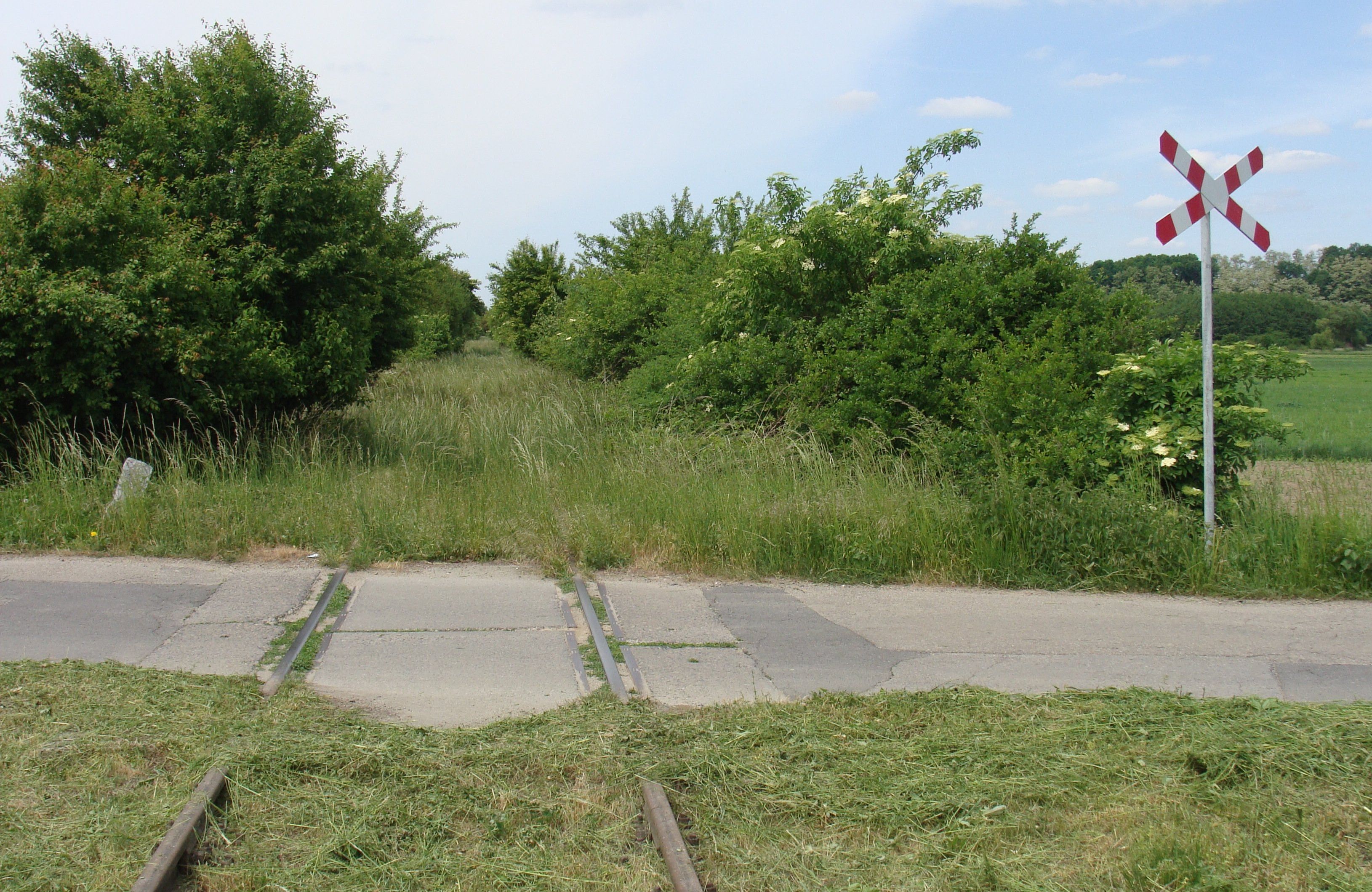 2.racibórzmarkowice_olza_fot.k.trammer