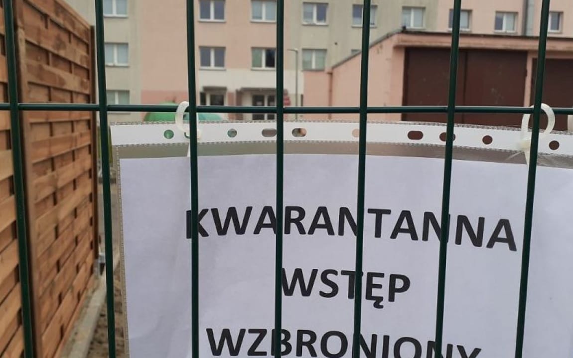 Grafika do artykułu Egzamin ósmoklasisty zagrożony. Co z maturami? ZNP: To, co proponuje MEN, jest niewykonalne