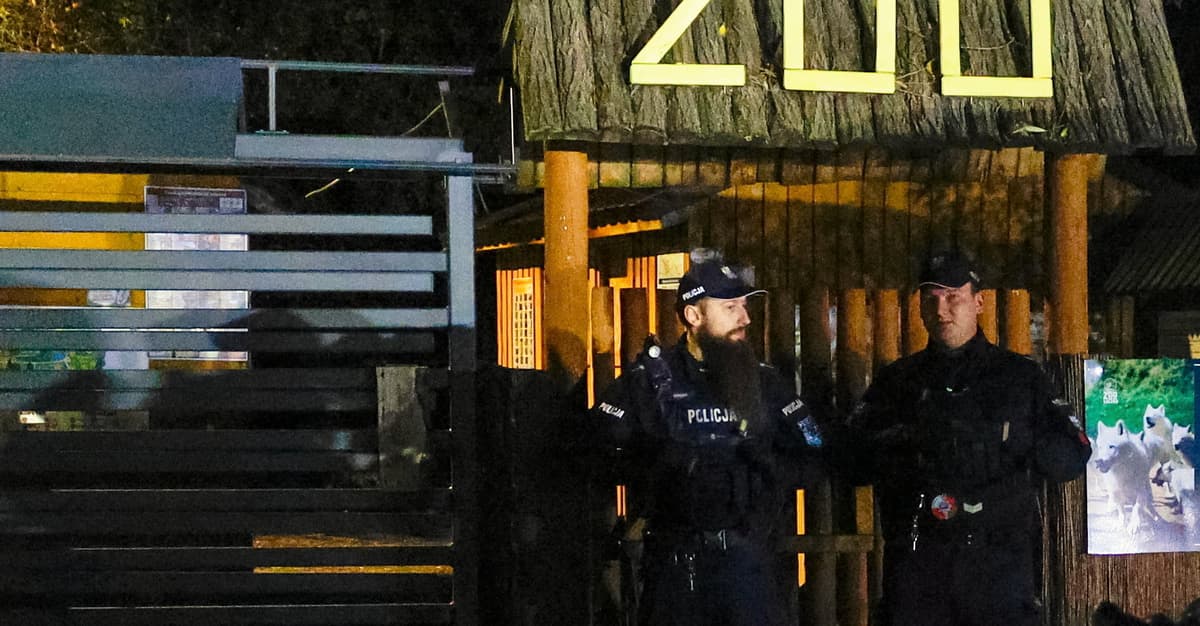 Interwencja prokuratury w zoo. Co się dzieje w Łącznej?