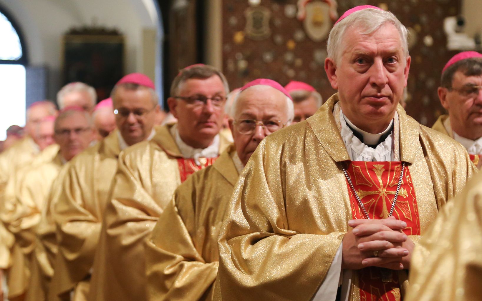 Grafika do artykułu Eksperci PAN po odezwie Episkopatu: odradzanie szczepień wektorowych to zgoda na tysiące ofiar