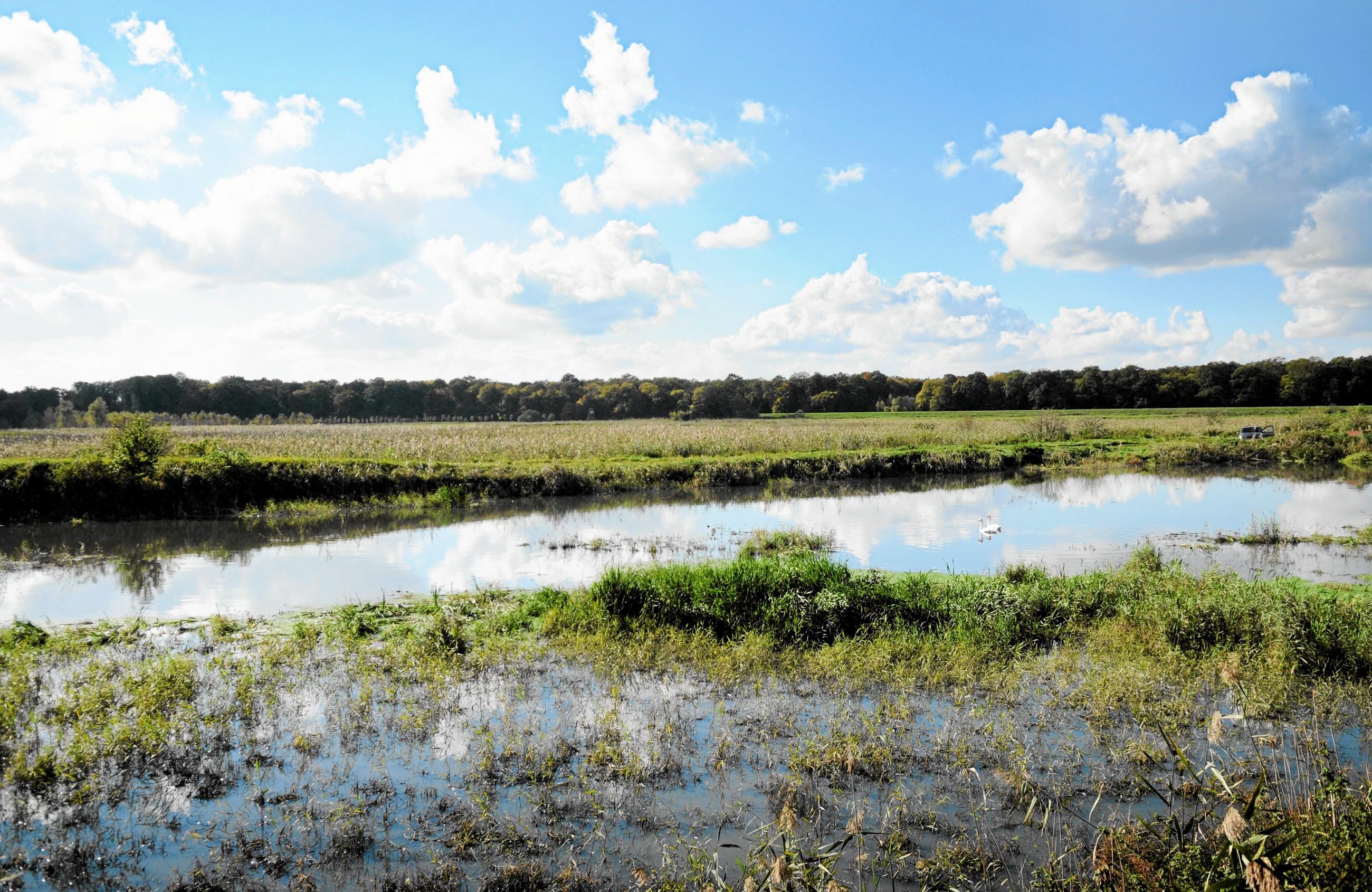 Pola irygacyjne Wroclawia