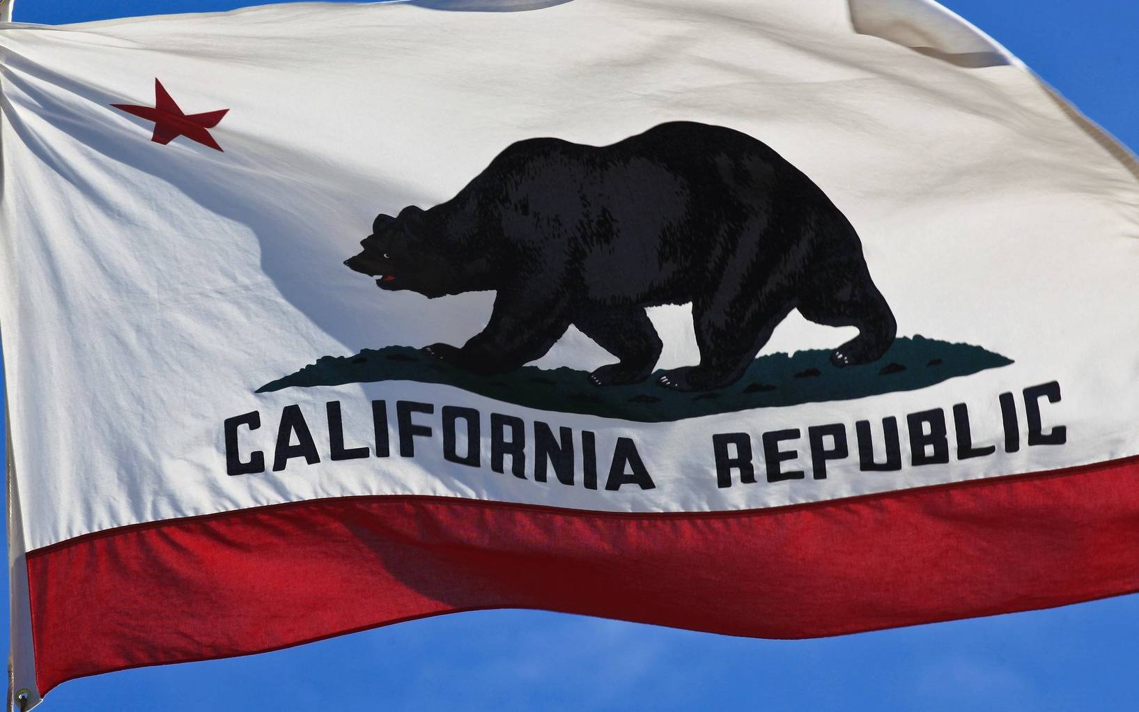 Grafika do artykułu Republikanie szykują się do odbicia Kalifornii w referendum. Jeśli wygrają, Biden będzie miał kłopot