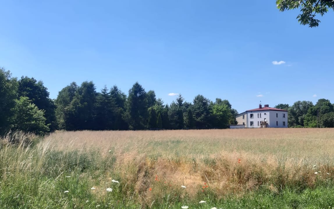 Grafika do artykułu Dekarbonizacja po polsku. Miało być odchodzenie od węgla, będzie nowa kopalnia w Mysłowicach