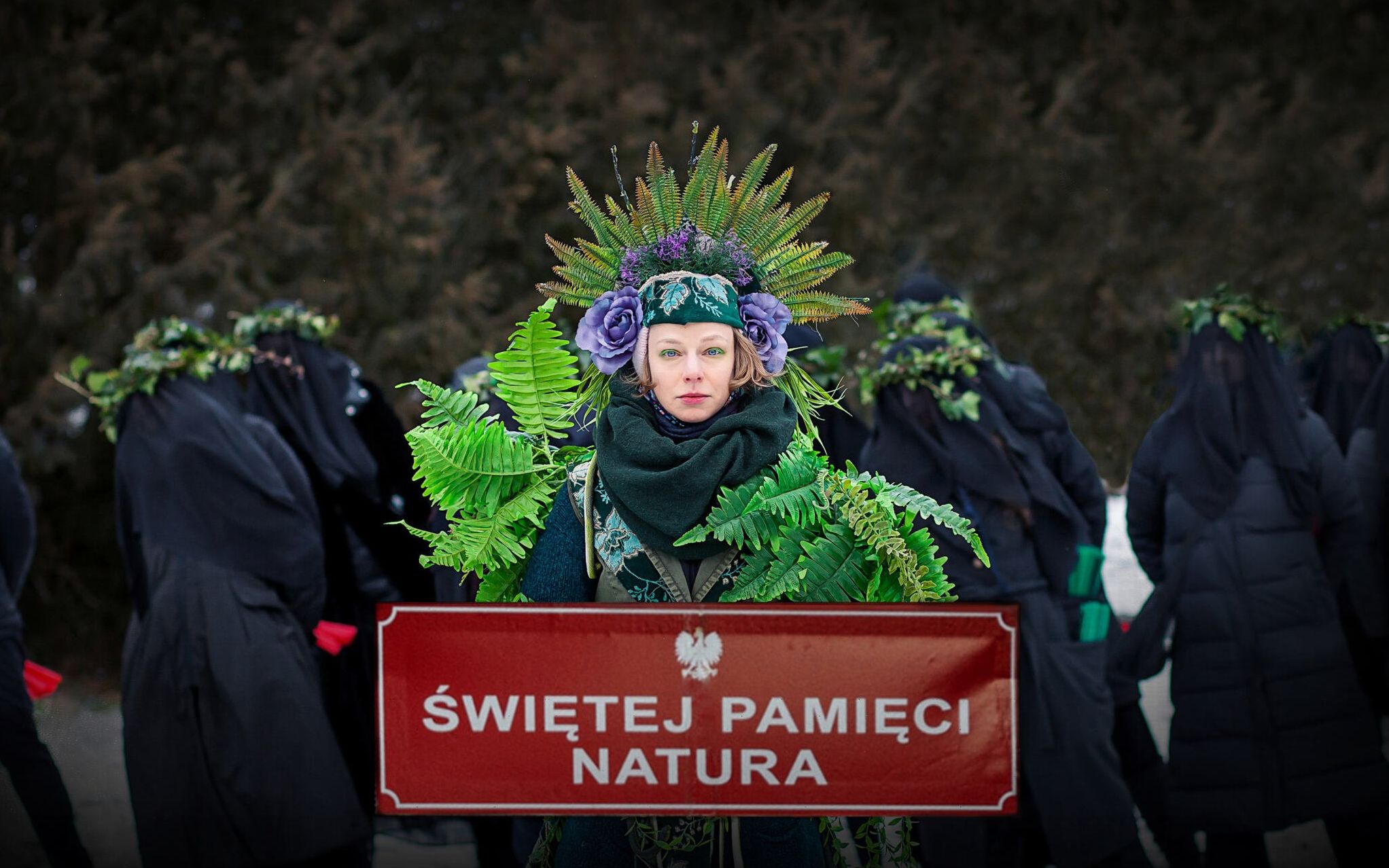 Grafika do artykułu Świętej Pamięci Natura. Aktywiści bronią Świętokrzyskiego Parku Narodowego przed rządem i zakonem [ZDJĘCIA]