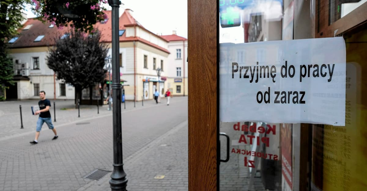 Pracodawcy będą musieli podawać widełki w ogłoszeniach o pracę