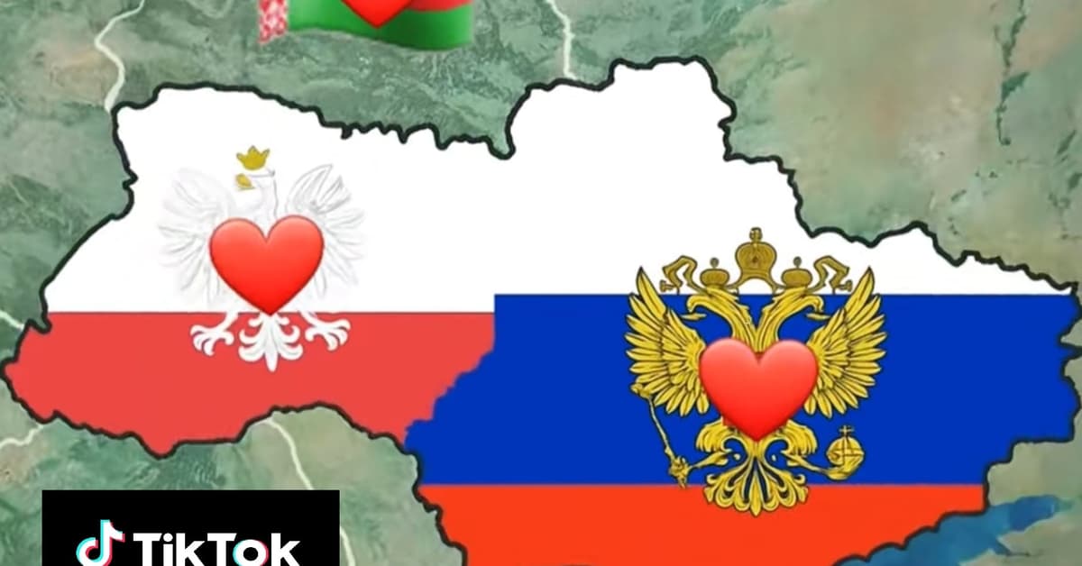 Marzenia o zabijaniu. Skrajna wrogość i nienawiść już tu są. Raport z polskiego TikToka