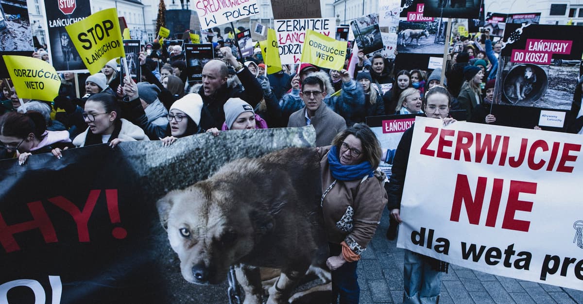 Stop łańcuchom! Marsz dla zwierząt w stolicy