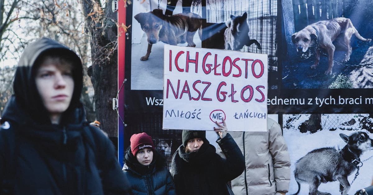 Закон о цепях в Сейме. Согласится ли президент отпустить собак на этот раз?
