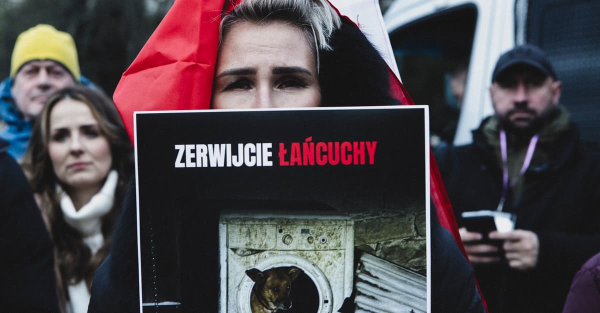 Prezydent za zakazem trzymania psów na łańcuchach