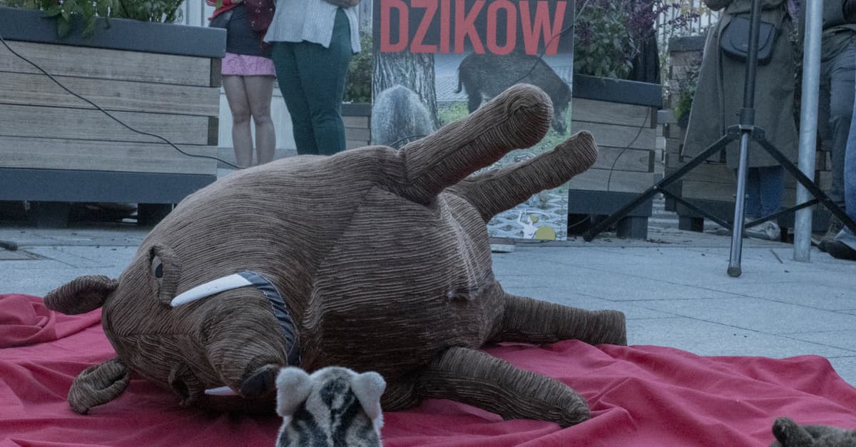 Warszawa kontra dziki. Trzaskowski chce rzezi, miłośnicy zwierząt zaskarżają decyzję o odstrzale