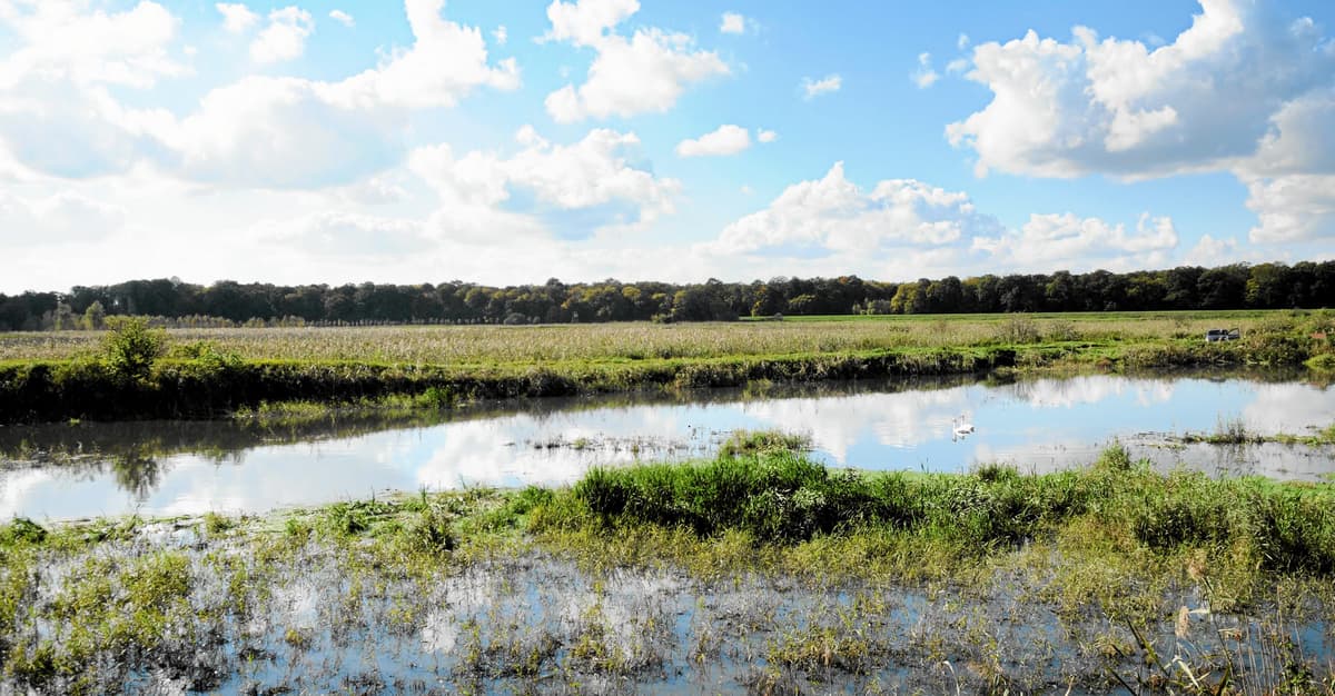 Powstanie pierwszy rezerwat w granicach Wrocławia