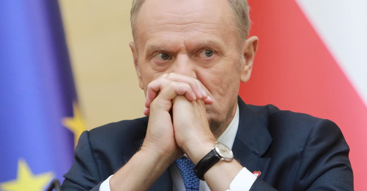 „Ktoś pomiędzy Miszalskim a Majchrowskim. Bardziej stonowany”. Co z KO po wyborach w Krakowie