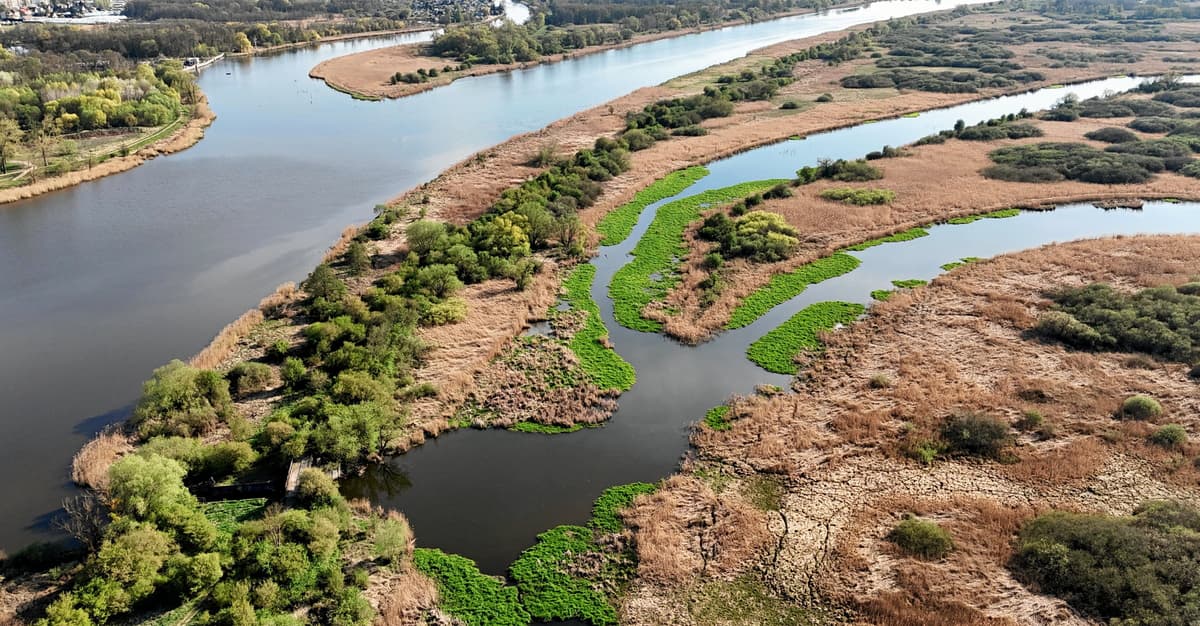 Kolejny samorząd mówi „tak” Parkowi Narodowego Doliny Dolnej Odry