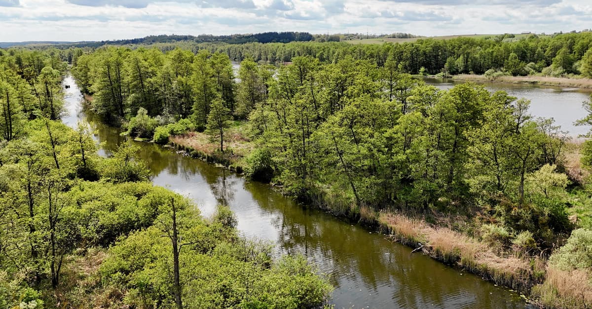 Co po wecie prezydenta do ustawy o Parku Narodowym Doliny Dolnej Odry? Rząd ma plan