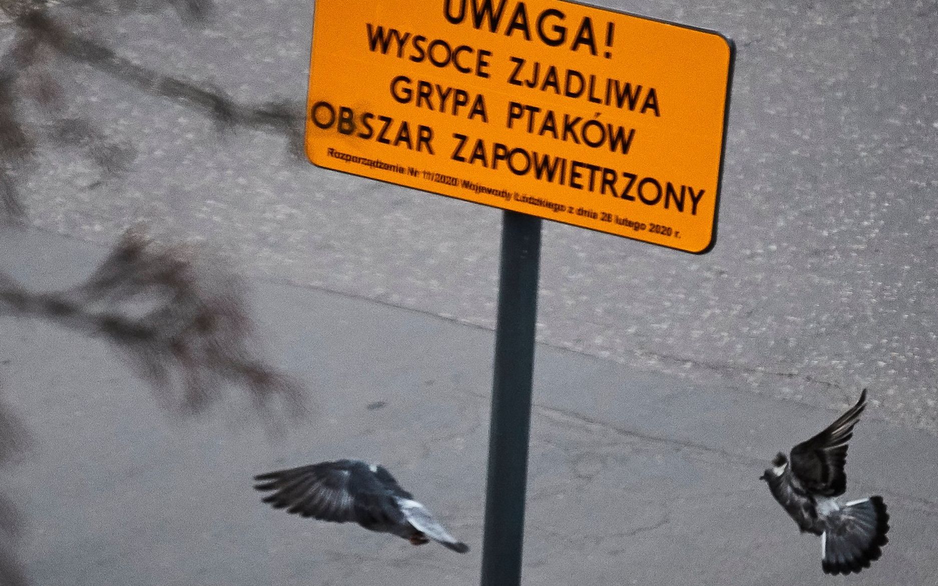 21.03.2020 Lodz . Osiedle Teofilow . Tablica ostrzegawcza na osiedlu mieszkaniowym Teofilow  " Uwaga Wysoce zjadliwa grypa ptakow . Teren zapowietrzony "
fot.Tomasz Stanczak / Agencja Gazeta