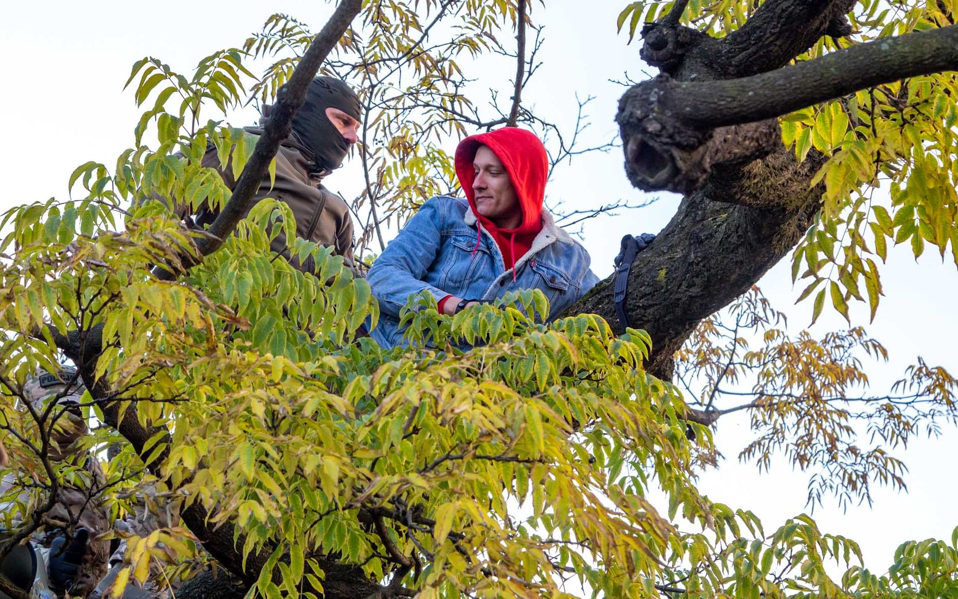 Grafika do artykułu Prezes wściekły. Policja ściągnęła protestującego z drzewa. OKO.press z zakazem wstępu [138. miesięcznica]