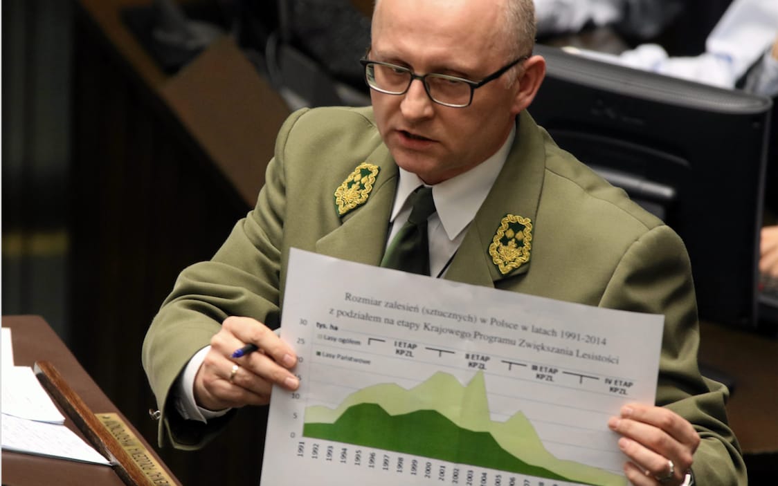 Grafika do artykułu Dyrektor Lasów Państwowych odwołany w cieniu afery. Znamy możliwych następców