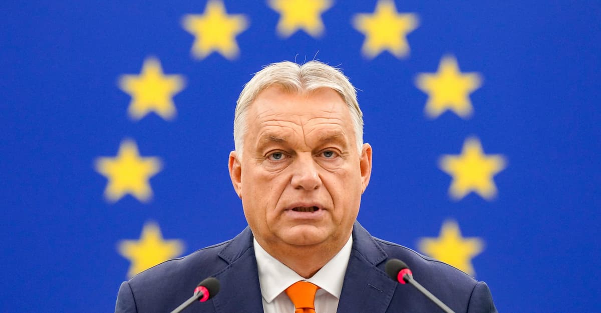 Sąsiedzi Polski i europejska skrajna prawica gratulują Karolowi Nawrockiemu