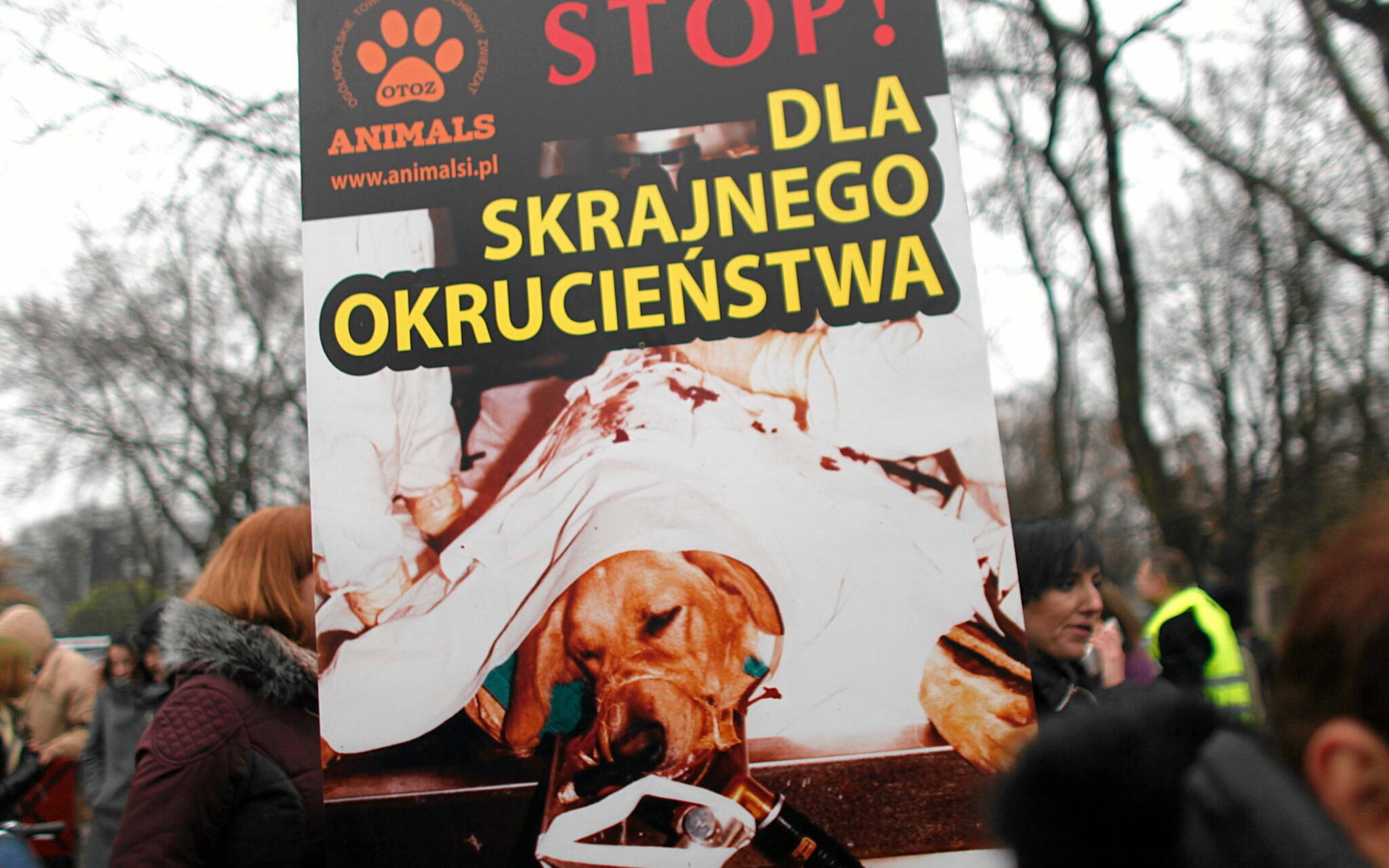 26.11.2014 Warszawa . Sejm . Demonstracja przeciwko ustawie o doswiadczeniach na zwierzetach .
 Fot . Dawid Chalimoniuk  /  Agencja Gazeta