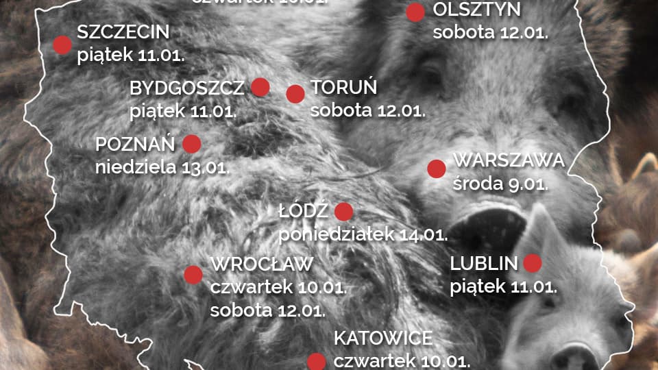 Mapka protestów w obronie dzików
