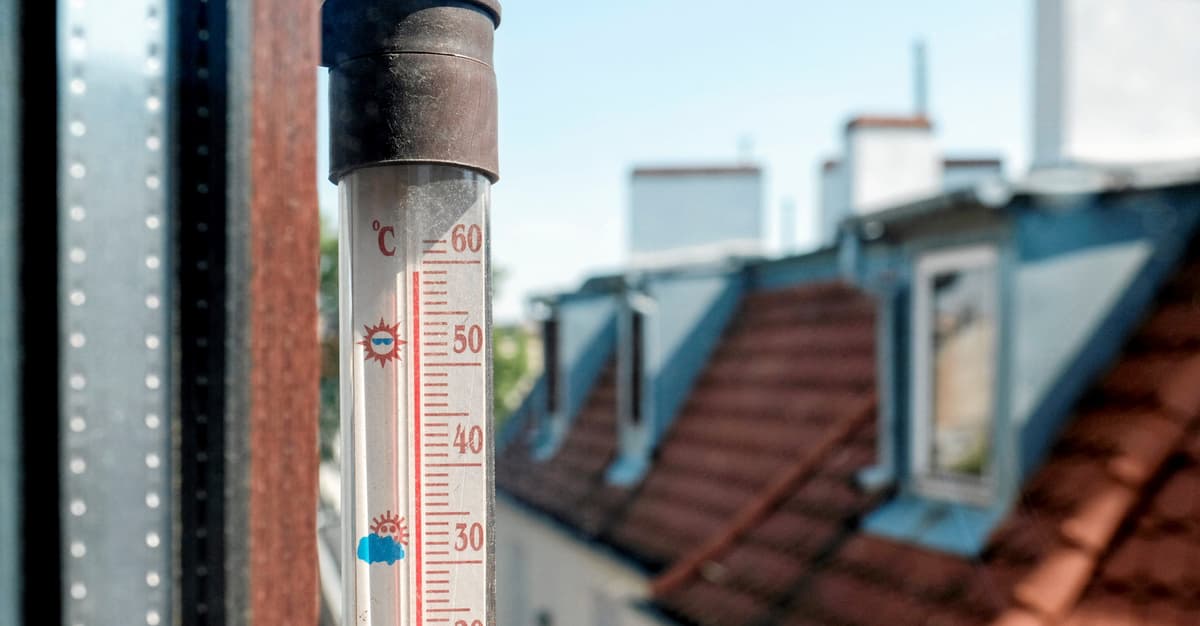 Denga w Europie, egzotyczne kleszcze i coraz więcej zgonów z powodu upałów. Zmiana klimatu zabija