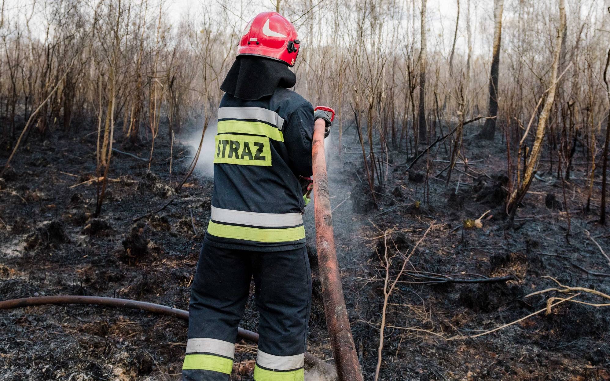 Grafika do artykułu Państwowa Straż Pożarna: pożar w Biebrzańskim Parku Narodowym opanowany