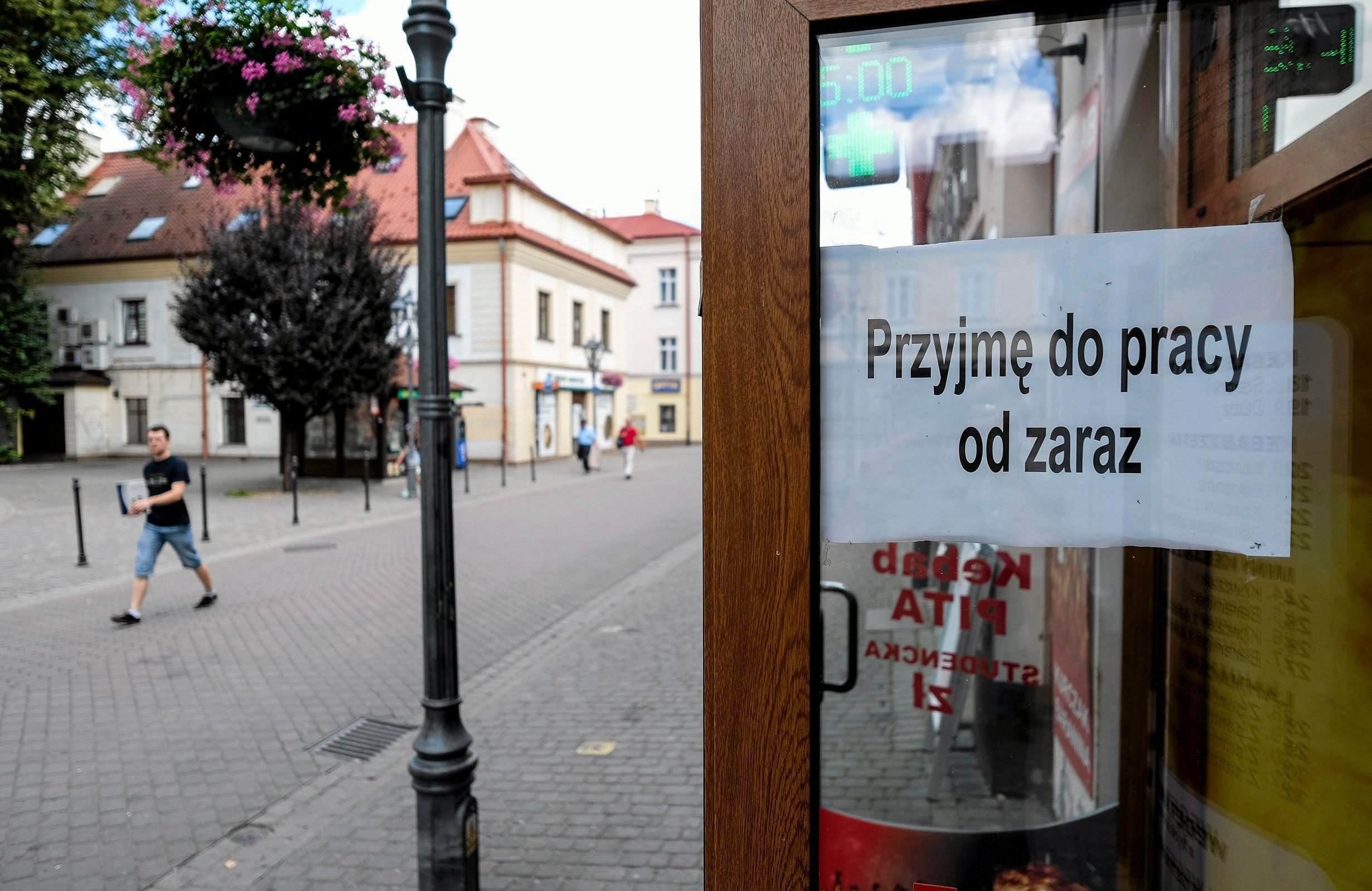 Ogloszenia o prace