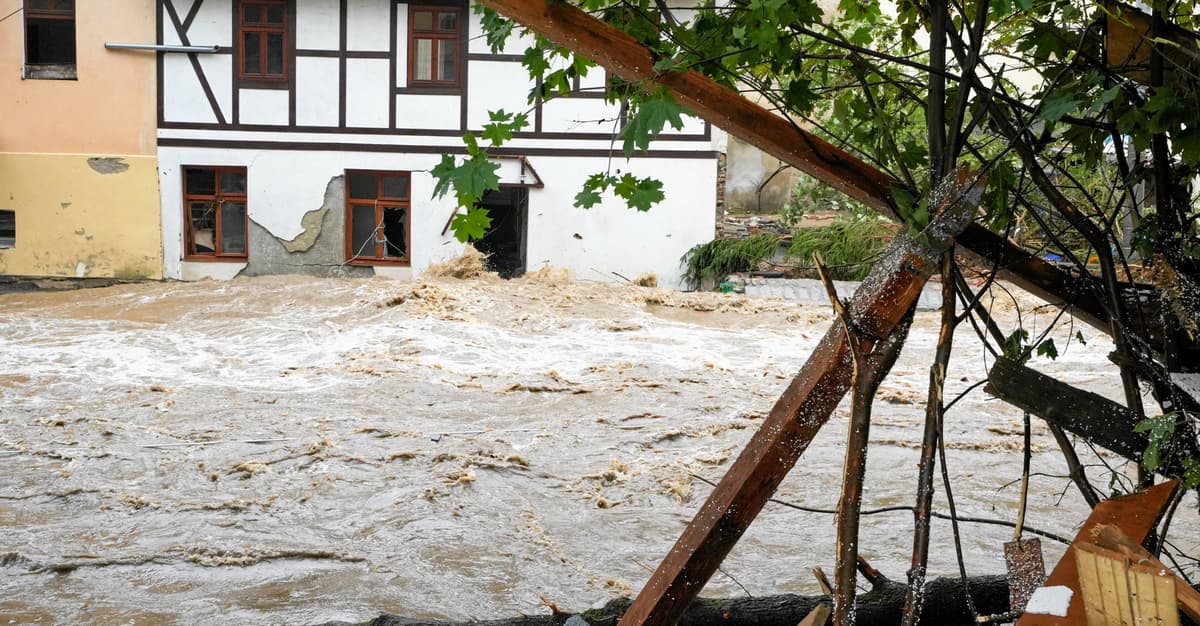 Ustawa miała usuwać skutki powodzi. Zakłada regulację rzek i wycinki bez oglądania się na środowisko