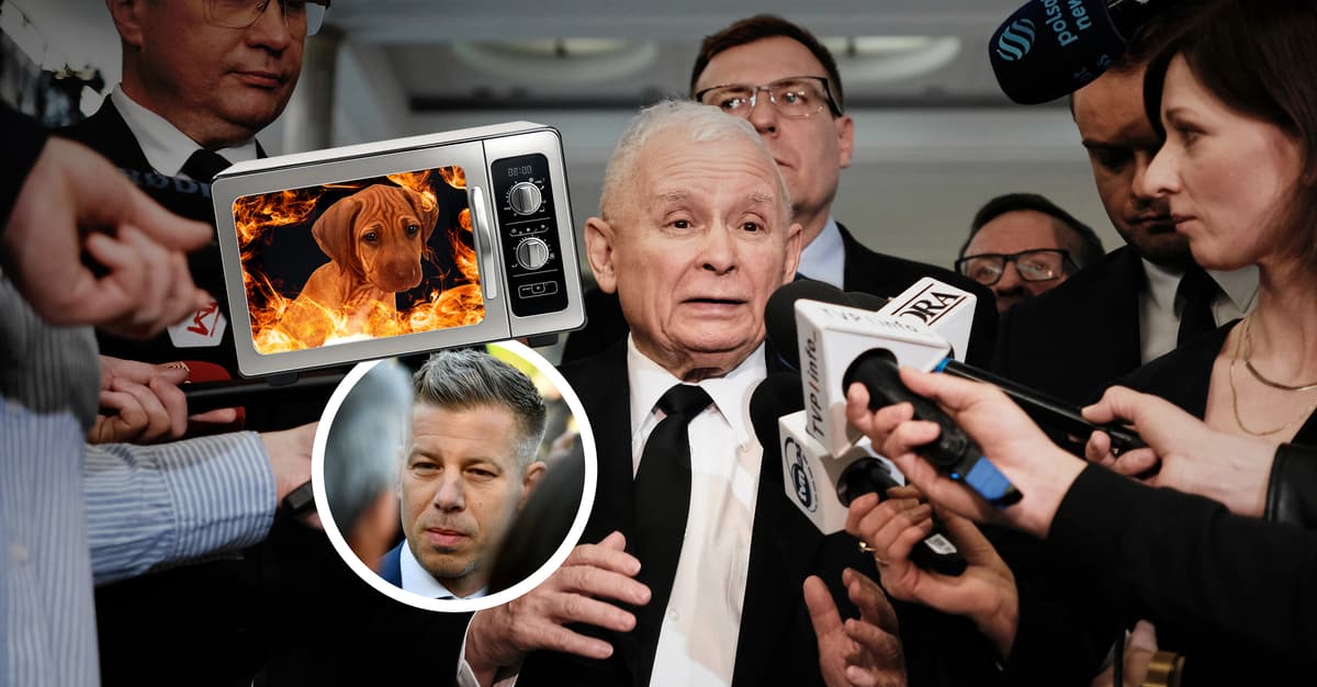 A może ograniczyć politykom dostęp do social mediów? Kaczyński o „upieczonym psie” Magyara