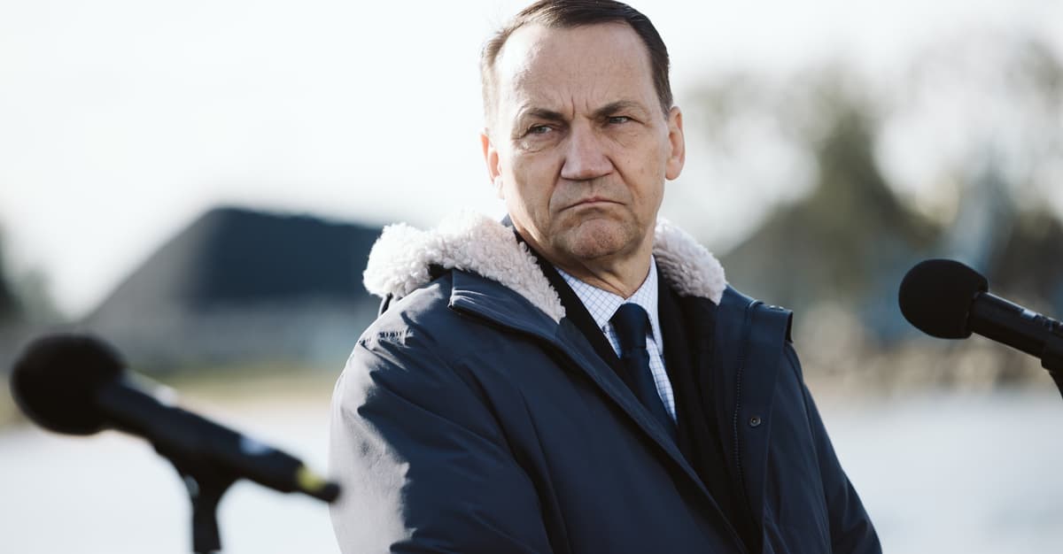 Sikorski kpi z przetrzymywanych przez Izrael aktywistów. Przy okazji zadrwił z powagi MSZ