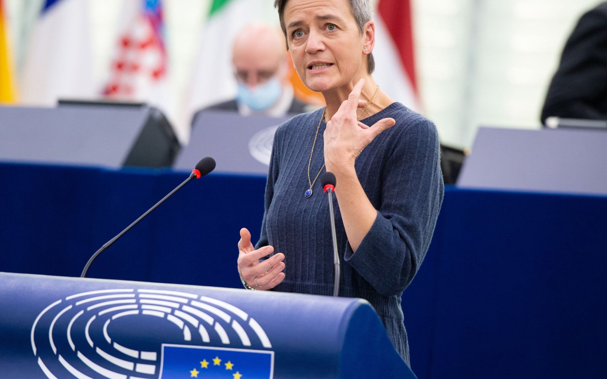 EP Plenary session - Single Market For Digital Services (Digital Services Act)