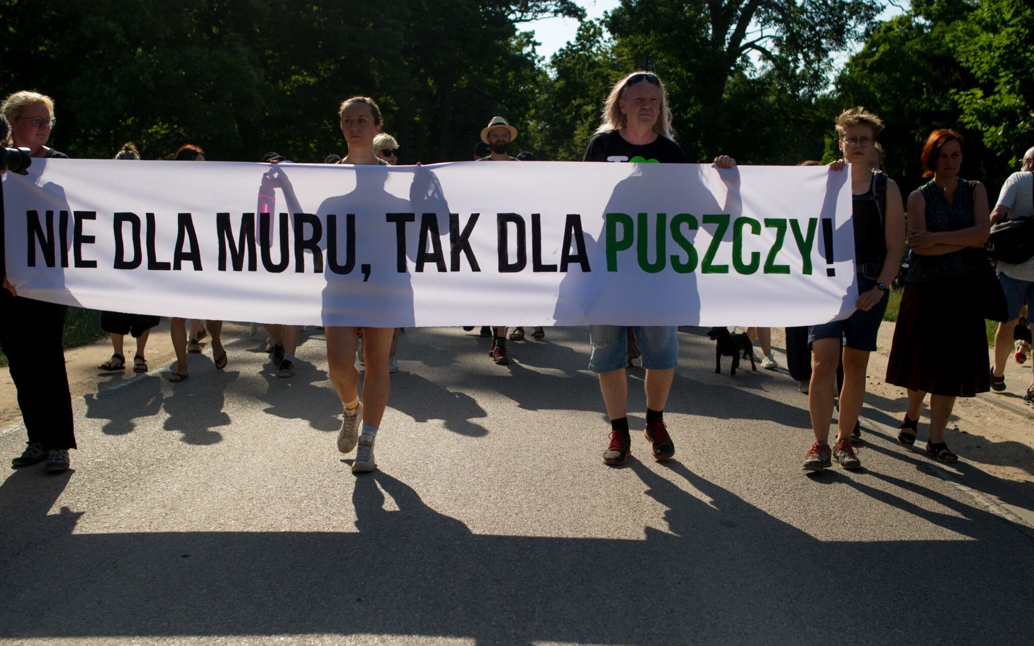 Grafika do artykułu Białowieża otwarta po 10 miesiącach. "Powinniśmy wydłużać nasze stoły, a nie budować mury"