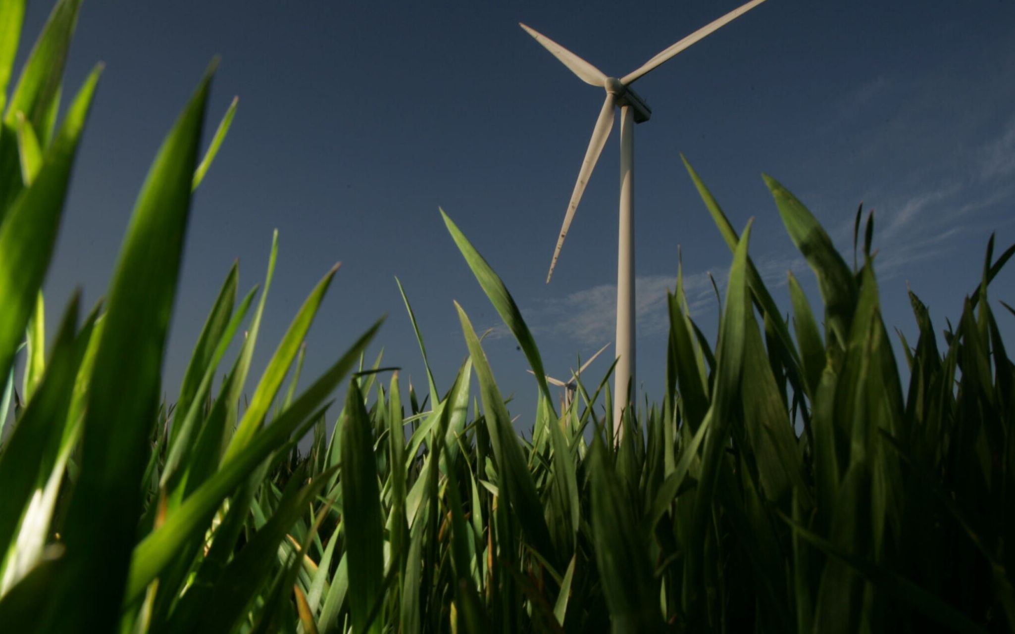 06.05.2005 OKOLICE DARLOWA ELEKTROWNIE WIATROWE PO PRZYSTAPIENIU POLSKI DO UE POLSKA BEDZIE MUSIALA ZWIEKSZYC ILOSC ELEKTROWNI WIATROWYCH
FOT. DAMIAN KRAMSKI / AGENCJA GAZETA