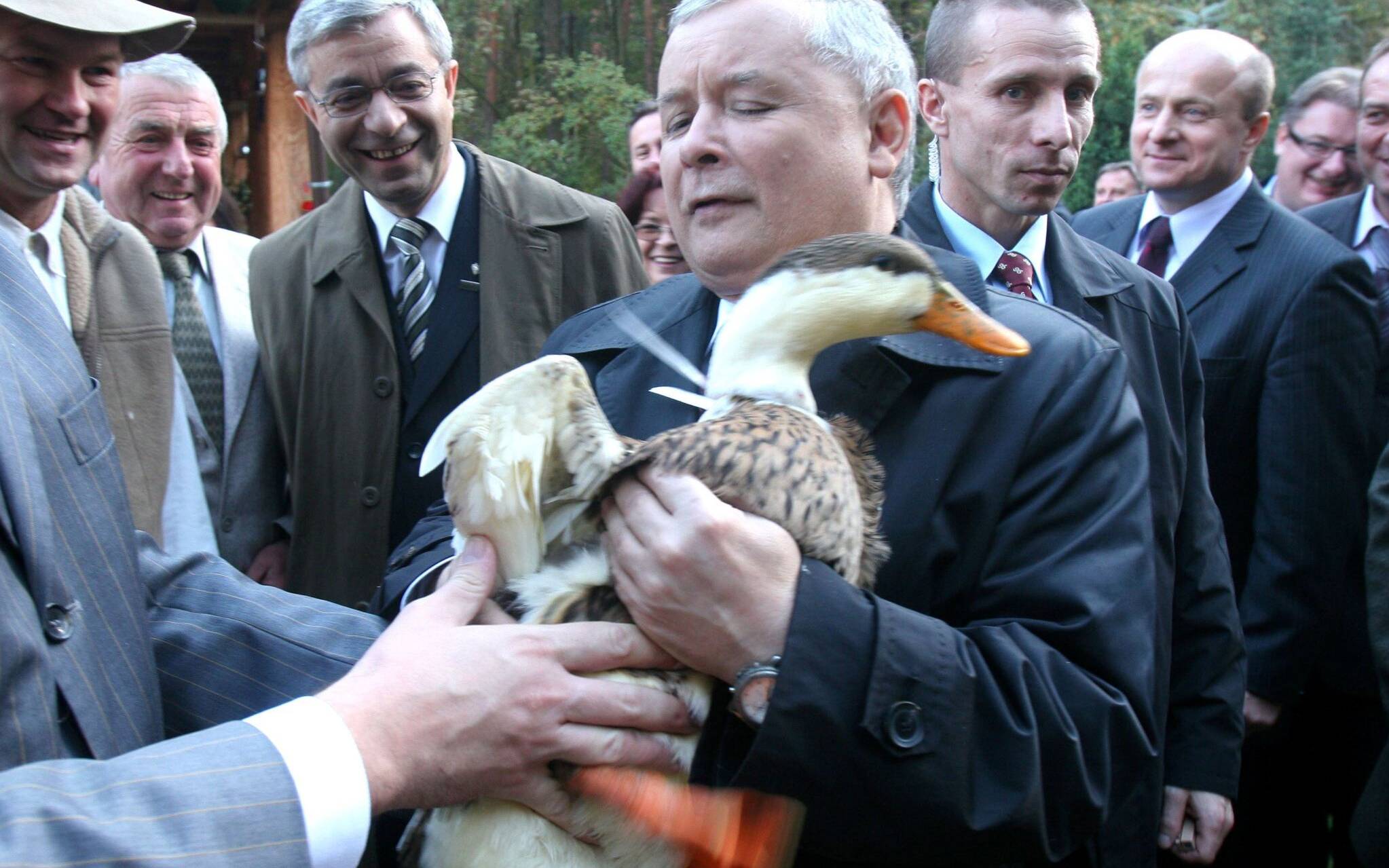 Grafika do artykułu Zapatrzony w zachód Kaczyński chce bronić praw zwierząt. Już to zapowiadał, skończyło się na słowach
