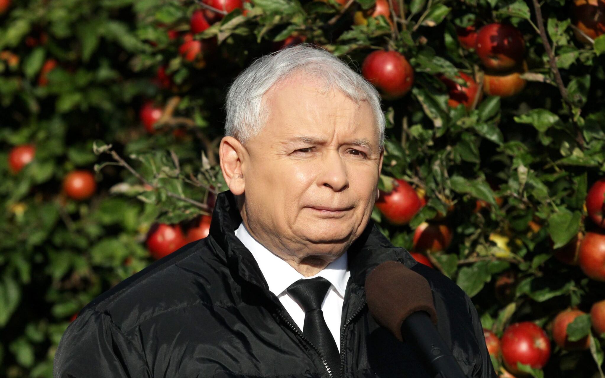 Jarosław Kaczyński w sadzie