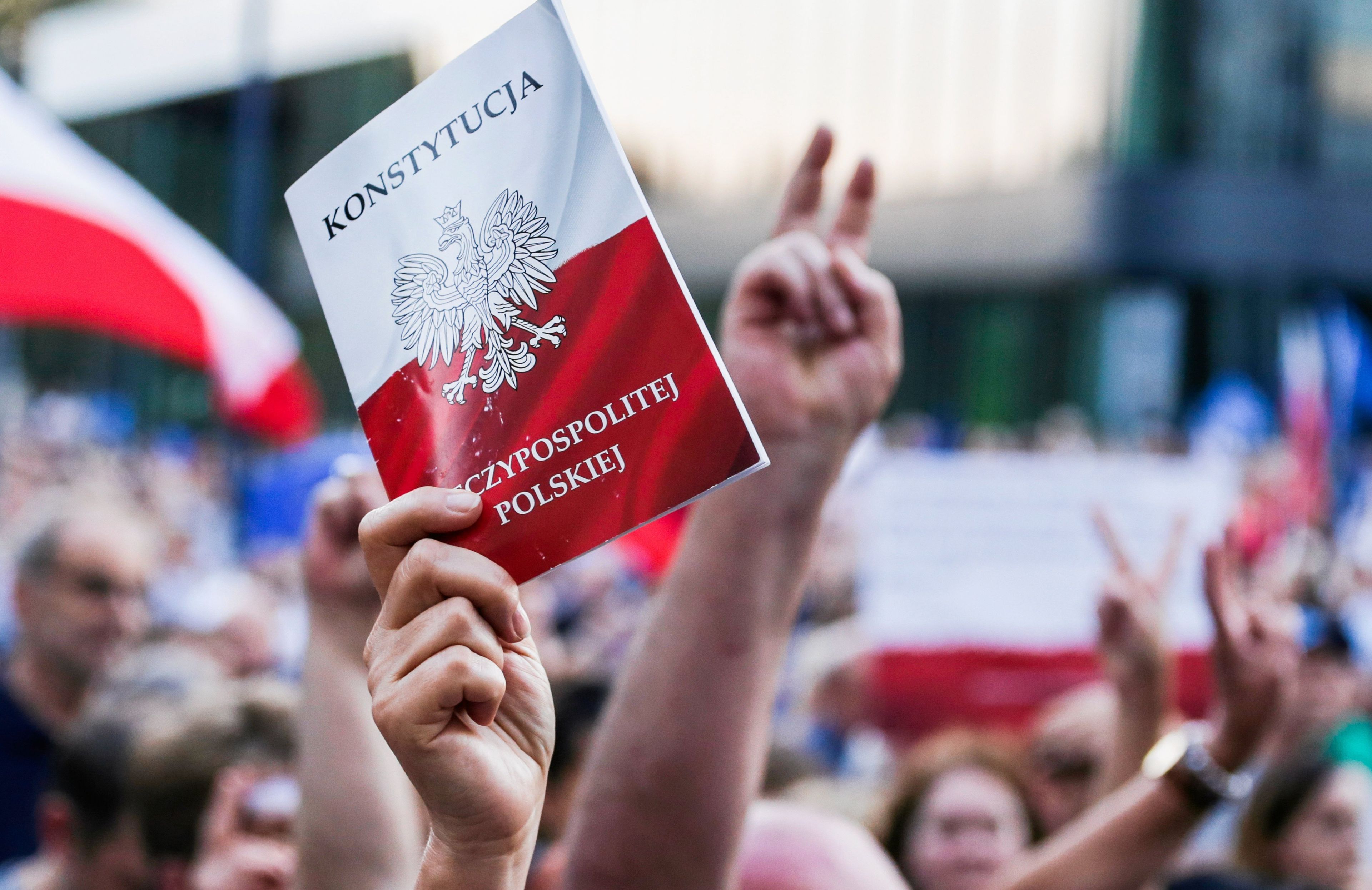 Tłum demonstrantów z flagami